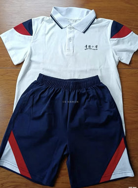 订做长沙青园小学夏季校服白色短袖拼红色藏蓝色半袖T恤短袖上衣