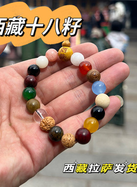 西藏十八籽男女多宝菩提籽手串手持手链情侣礼物平安念珠