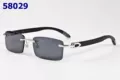 Carbon Silver
