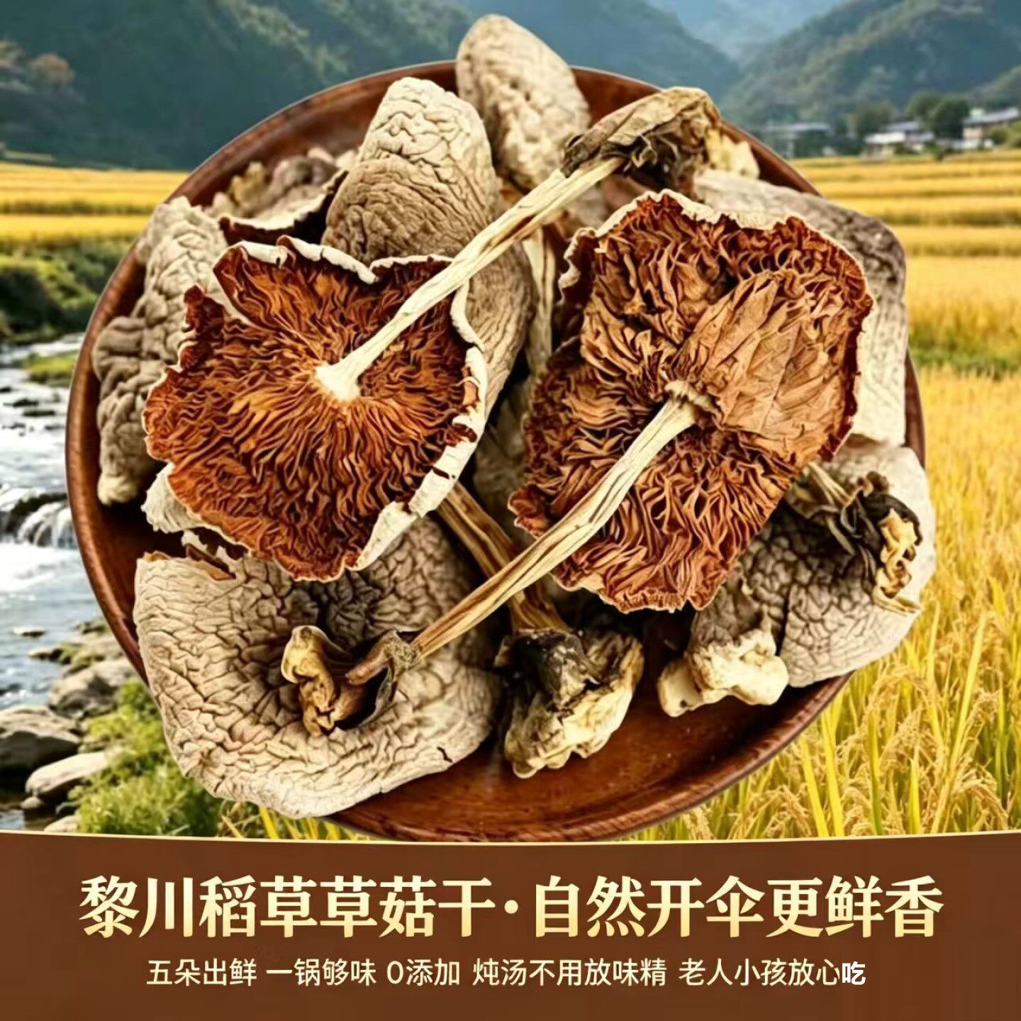 2026新产稻草草菇干货黎川杆菇精品农家自种中高端食用菌煲汤蘑菇