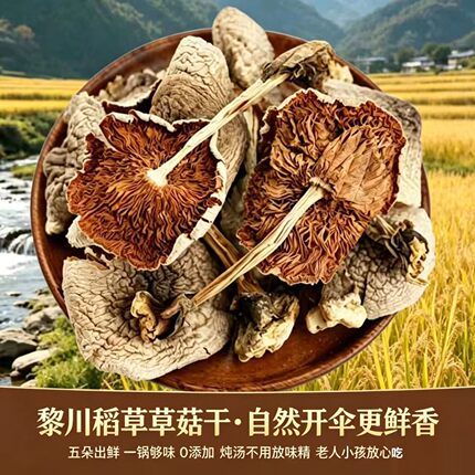 2026新产稻草草菇干货黎川杆菇精品农家自种中高端食用菌煲汤蘑菇