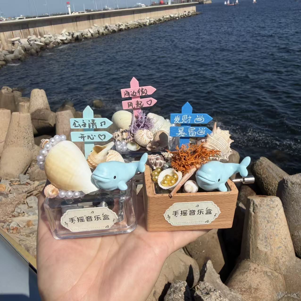 手摇音乐盒海洋风贝壳海螺摆件图片