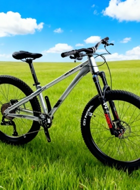 AURIDE土坡车山地车铝合金自行车炸街车公路越野变速动作车学生车