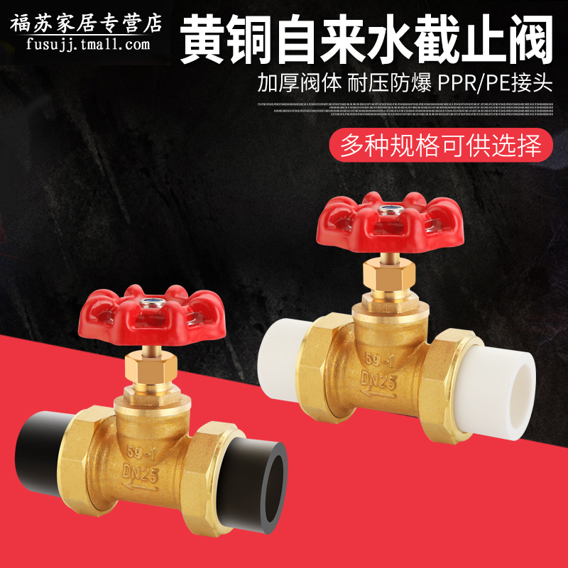 黄铜加厚ppr蒸汽6分1寸截止阀