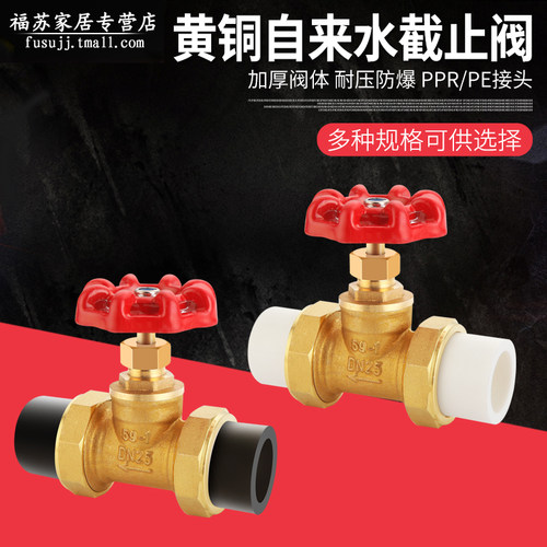 黄铜加厚ppr蒸汽6分1寸截止阀