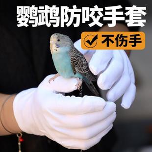 白色灵活宠物防抓纯棉透气防咬咬专业防滑吸汗户外手套鹦鹉宠物店