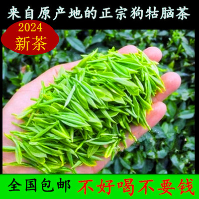 2024新茶正宗狗牯脑明前茶