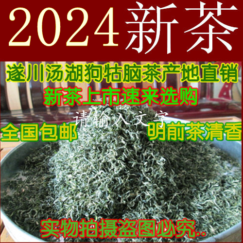 2024新茶江西遂川狗牯脑茶叶明前...