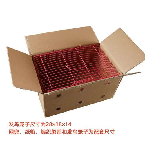 发鸟套装笼子玉鸟鹦鹉大号发鸟笼子加厚纸箱包邮打孔鹦鹉运输笼
