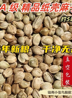 纸壳中粒麻子2025年新粮鹦鹉辣嘴仓鼠颗粒饱满包邮特价真空包装