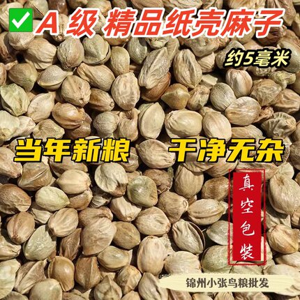 纸壳中粒麻子2025年新粮鹦鹉辣嘴仓鼠颗粒饱满包邮特价真空包装