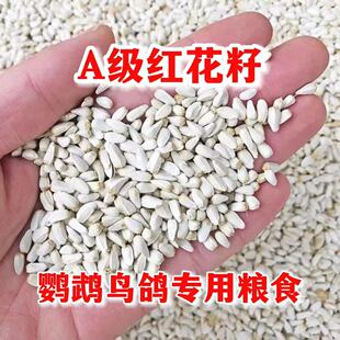 虎皮玄凤牡丹中小型鹦鹉带壳食红花籽白瓜子 包邮【2024】新粮