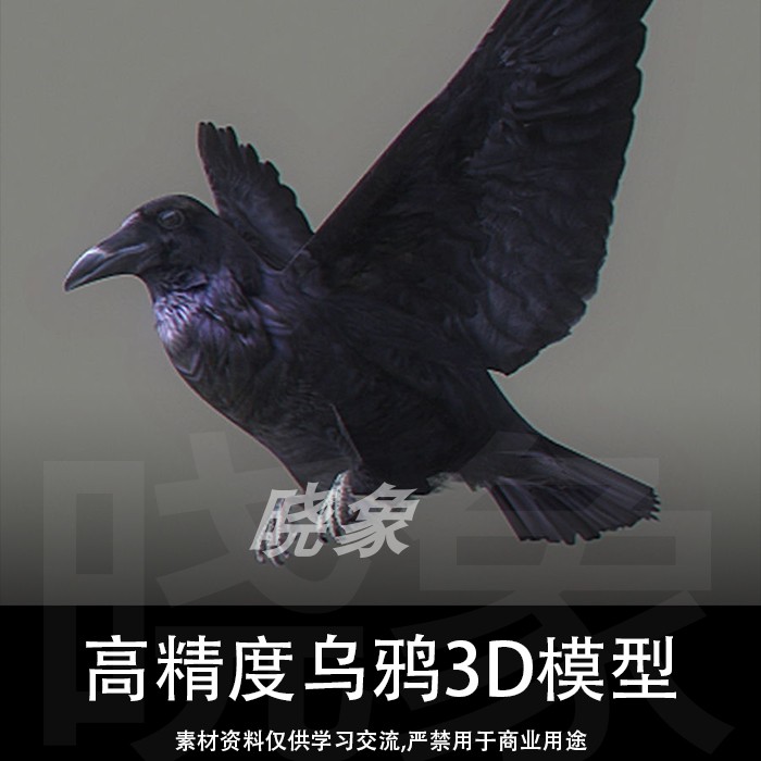 高精度乌鸦3D模型 含绑定 挥动翅膀循环动画 贴图材质