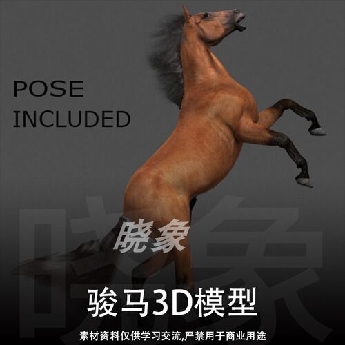unity UE4适用  4款骏马3D模型 4K分辨率贴图 包含动作