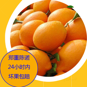 攀枝花盐边红格正宗本地产纽荷儿脐橙儿童新鲜水果10非云南宾川5