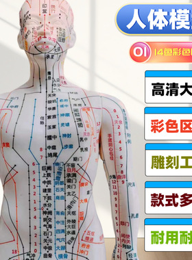 中医针灸人体模型教学男女全身十二经络小皮人人图可扎针铜人人模
