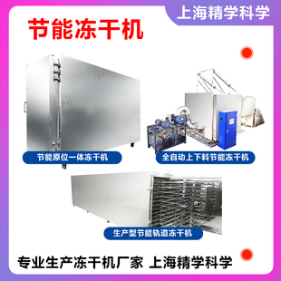 冻干机 蔬菜水果宠物食品鸡肉鸭肉鱼类 全自动真空冻干机商用