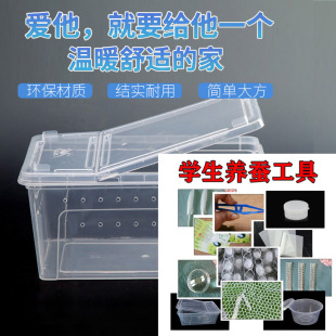 蚕宝宝饲养盒宠物盒养育仓养蚕别墅分养盒喂养工具用品科学课套装