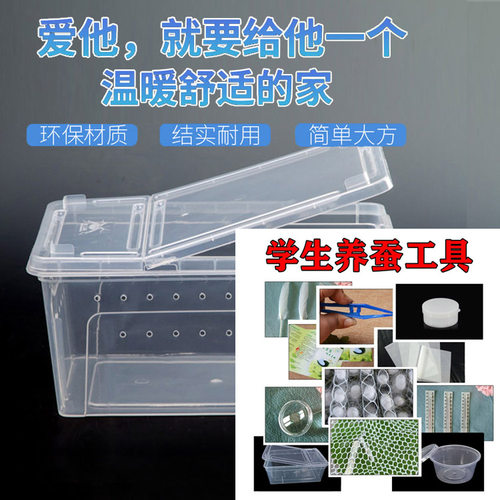 蚕宝宝饲养盒养蚕工具学生用品