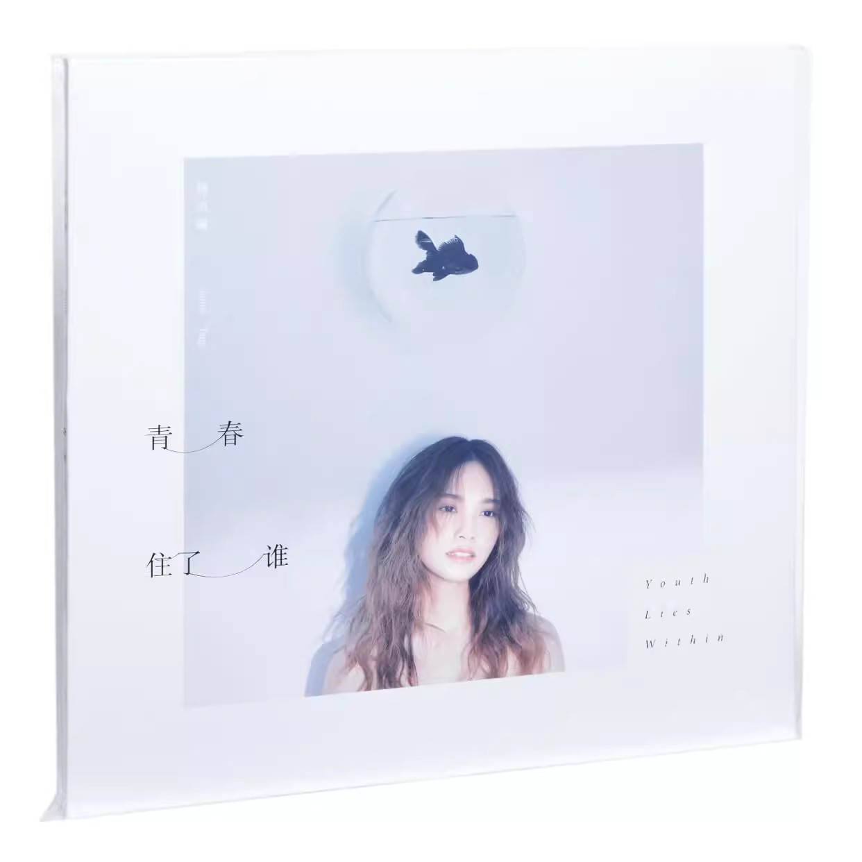 正版专辑 杨丞琳 青春住了谁 CD+歌词册贴纸大海报 北京五大唱片