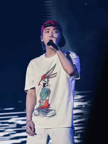 谢锐韬TizzyT巡演同款T恤Rabbit趣味卡通兔八哥印花vintage短袖潮