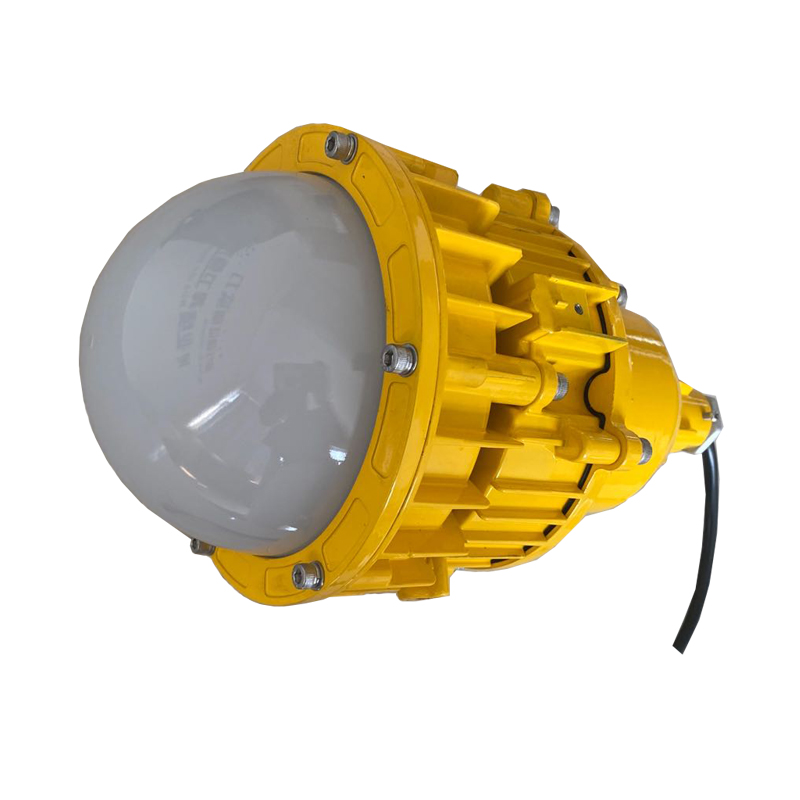 海洋王防爆灯静电喷塑高效节能