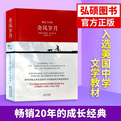 奇风岁月中文版男孩成长故事