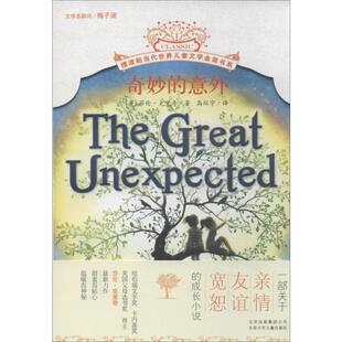 奇妙的意外 北京少年儿童出版社 (美)克里奇 著 高环宇 译 儿童文学 QG