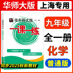 2025一课一练九年级化学普通版 初三上册下册初中上9下教材课本同步教辅书试卷资料课时作业本必刷题天天练习册 华东师大沪教版