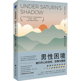 男性困境 他们内心的创伤、恐惧与愤怒 浙江大学出版社 (美)詹姆斯·霍利斯 著 朱倩倩 译 社会科学总论 QG