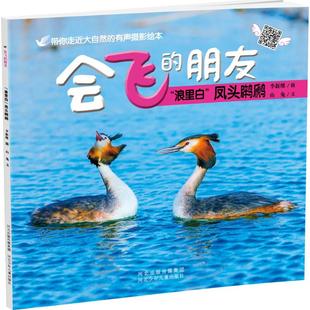 文 浪里白 李维新 著作 好听好看好精彩 河北少年儿童出版 摄影绘本 凤头鸊鷉 亲子读物 社 带你走进大自然 摄;山兔