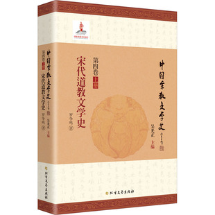 宋代道教文学史 北方文艺出版社 罗争鸣 著 文学理论/文学评论与研究