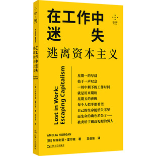 在工作中迷失 逃离资本主义 上海文艺出版社 (英)阿梅利亚·霍尔根 著 王伯迪 译 成功QG