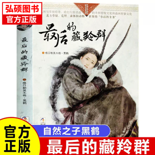 正版童书 最后的藏羚群自然之子黑鹤精品书系珍藏版 草原荒野森林动物小说世界百科全书6-7-10-12-14岁少儿童文学阅读物故事X