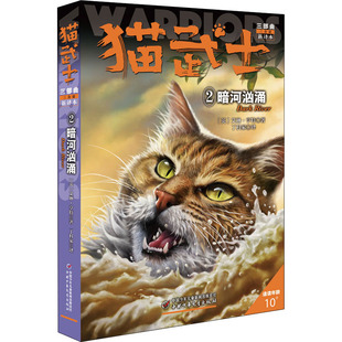 猫武士三部曲 2 暗河汹涌 新译本 中国少年儿童出版社 (英)艾琳·亨特 著 丁科家 译 儿童文学