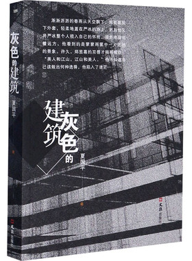 灰色的建筑 文汇出版社 夏国平 著 青春/都市/言情/轻小说  KC