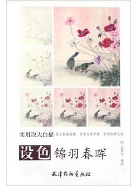 设色锦羽春晖 天津杨柳青出版社 王金才 编绘 绘画（新）  KC