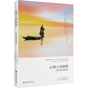 心湖上的倒影 深圳报业集团出版社 (英)丹津·葩默 著 叶文可 译 外国哲学 KC