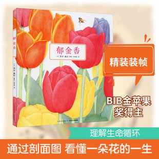 郁金香 长江少年儿童出版社 田秀娟 译 (日)荒井真纪 绘 绘本/图画书/少儿动漫书 KC