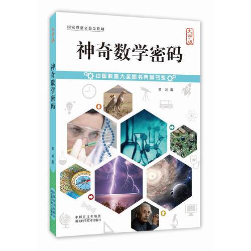 神奇数学密码趣味数学读物通过游戏揭示数字背后的规律适合小学生培养数学兴趣K