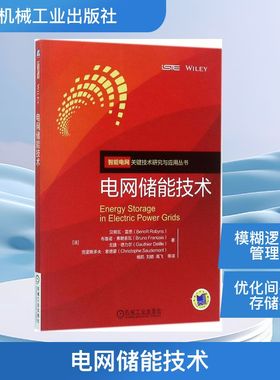 电网储能技术 机械工业出版社 (法)贝努瓦·雷恩(Benoit Robyns) 等 著；杨凯 等 译QG