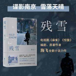 残雪 海飞代表作 书写大雪掩盖下民国南京的谍战往事入选河南一模高考卷电视剧醒来惊蛰原著小说作者现代文学小说浙江文艺出版社K