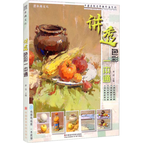 讲透色彩一本通祁达 编中国美术学院出版社绘画（新）CX