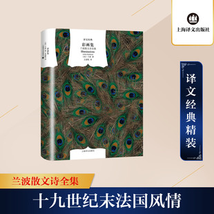 彩画集 兰波散文诗全集 上海译文出版社 (法)兰波 著 王道乾 译 中国现当代诗歌  KC