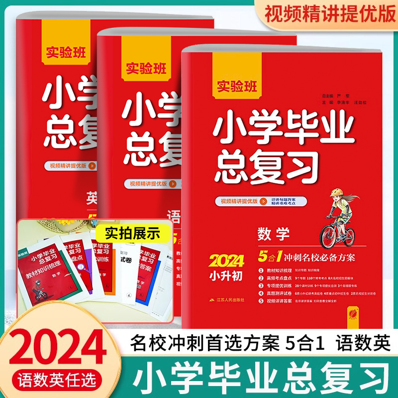24实验班小学毕业总复习语文