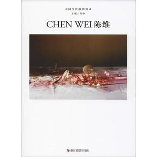 中国当代摄影图录 陈维 浙江摄影出版社 刘铮 编 摄影艺术(新) KC