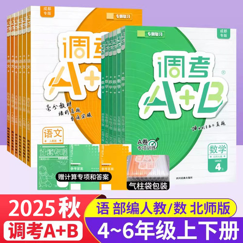 2025成都市小学调考a+b四