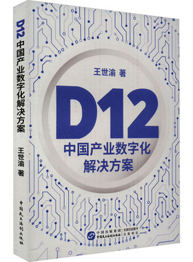 D12 中国产业数字化解决方案 中国民主法制出版社 王世渝 著QG