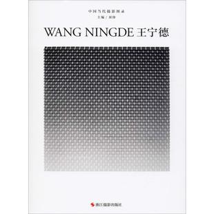 中国当代摄影图录 王宁德 浙江摄影艺术出版社 刘铮 编 摄影艺术(新) KC