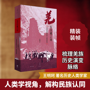 羌在汉藏之间 川西羌族的历史人类学研究 上海人民出版社 王明珂 著 史学理论  KC